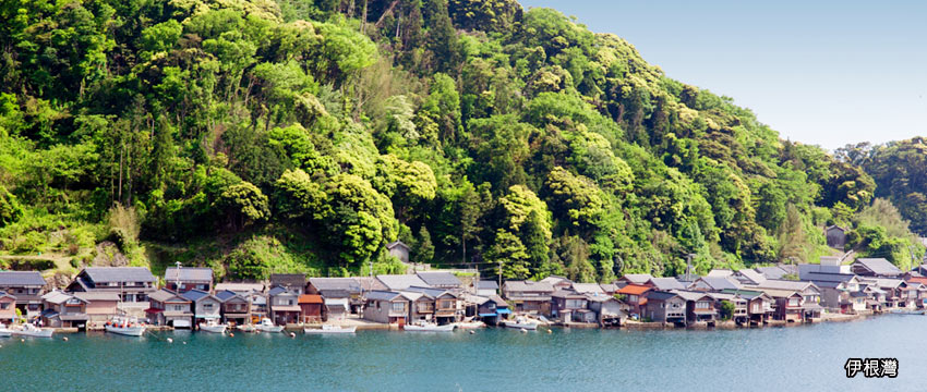 搭乘伊根灣遊覽船